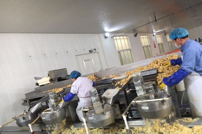 Sushi ginger  factory 