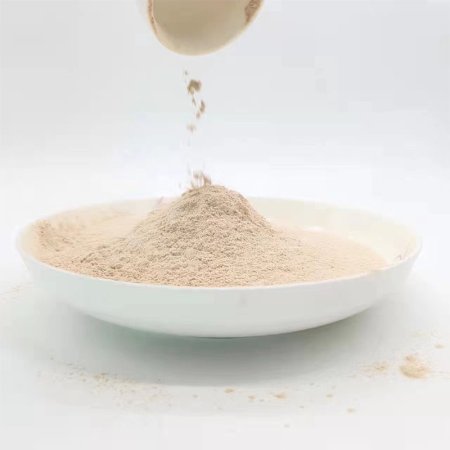 Shiitake Mushroom powder